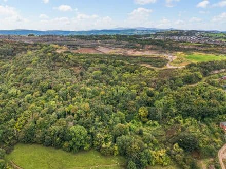 Raynes Woodland, Llindir Road, Llanddulas, Abergele, Conwy, LL22 8ND